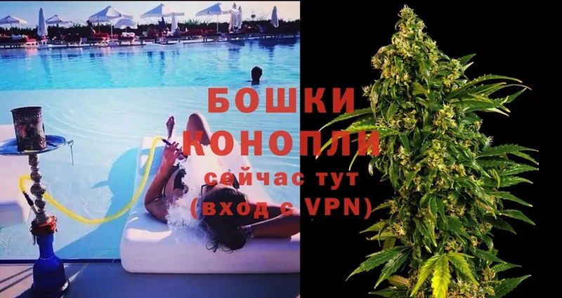 магазин продажи   Дно  Бошки марихуана SATIVA & INDICA 